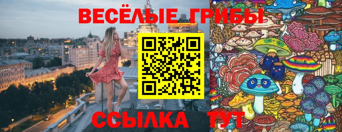 Галлюциногенные грибы Psilocybine cubensis Волгоград