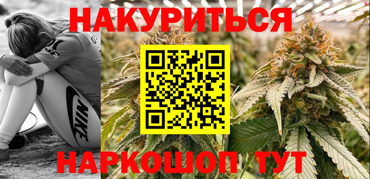 Волгоград  Каннабис тримм  Каннабис конопля  Канабис план  Вход с VPN 